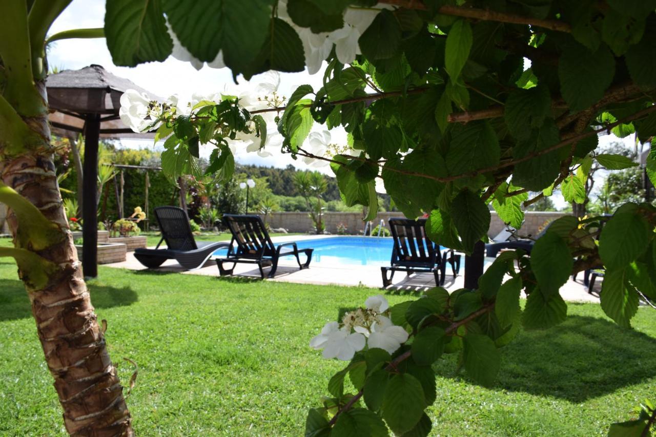 Alagoas4Family - Country House Арока Екстер'єр фото